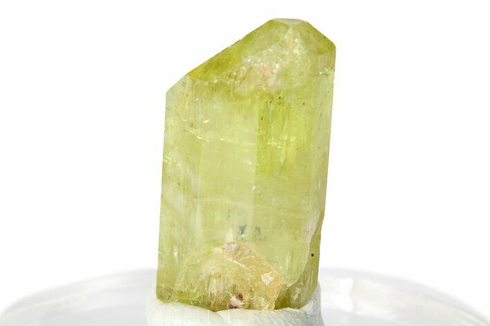 Gemmy Yellow-Green Apatite Crystal - Morocco #276550